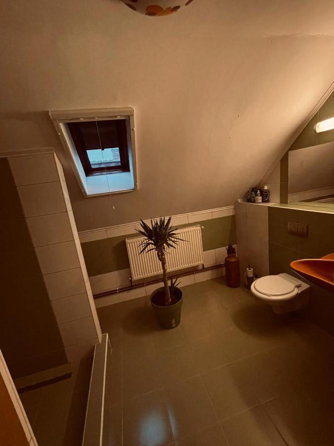 Casa Verde Foeni Zewnętrze zdjęcie